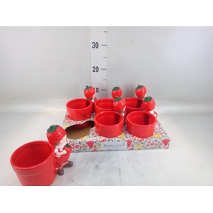 Pot   ...Keramiek H%