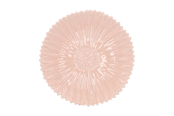 Bloom Daisy Plate Peach 24x24x4cm