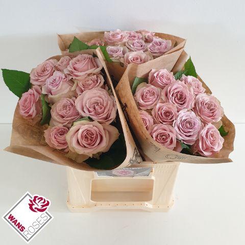 <h4>R GR RETRO LOVE! .</h4>