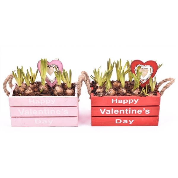 <h4>Hout rechthoek Valentine day 20x10</h4>