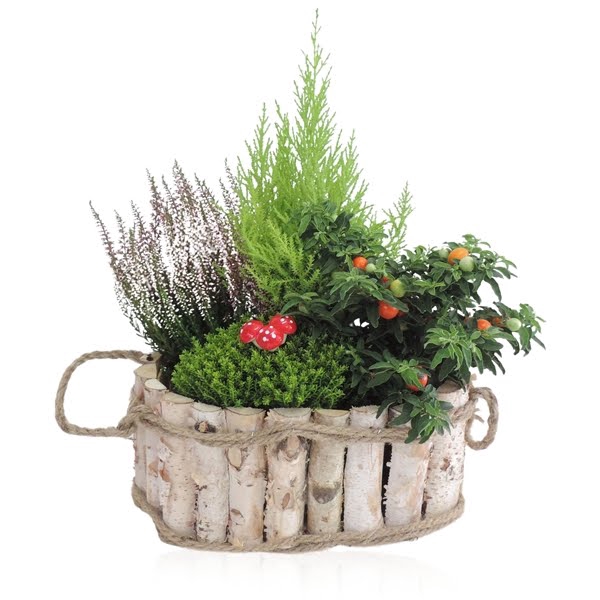 Collectie Anna Arrangement in Houten Bak Ovaal 28 cm