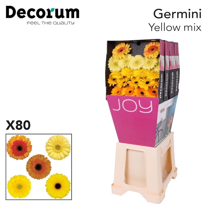 <h4>Germini Mix Geel Diamond</h4>