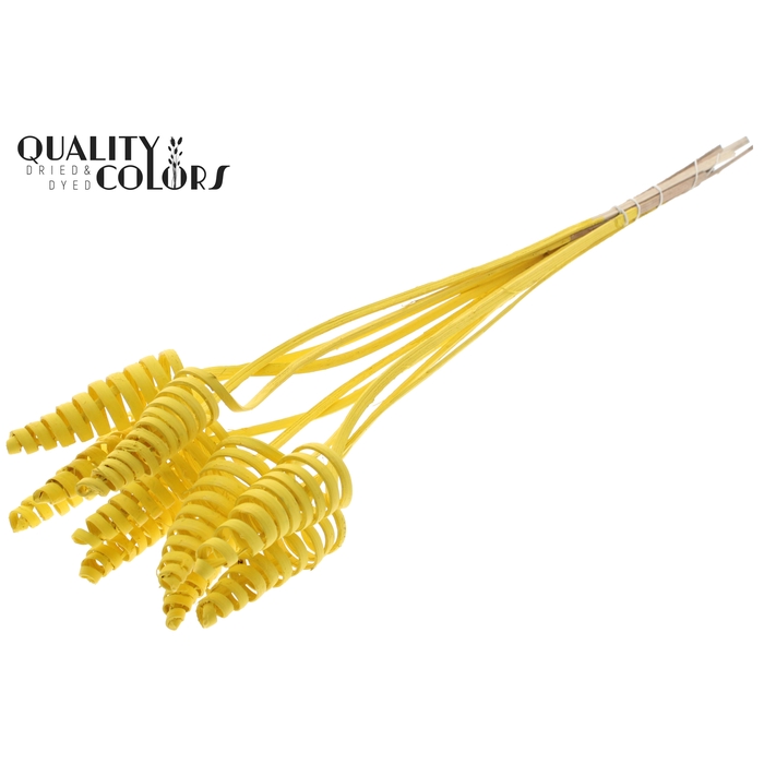<h4>Cane Cone on stem Covered Yellow</h4>