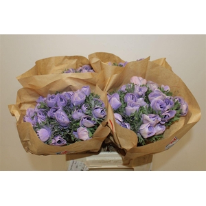 Anem Marianne Powder Lavender