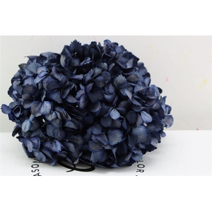 Pres Hydrangea Xl Purple Pcs