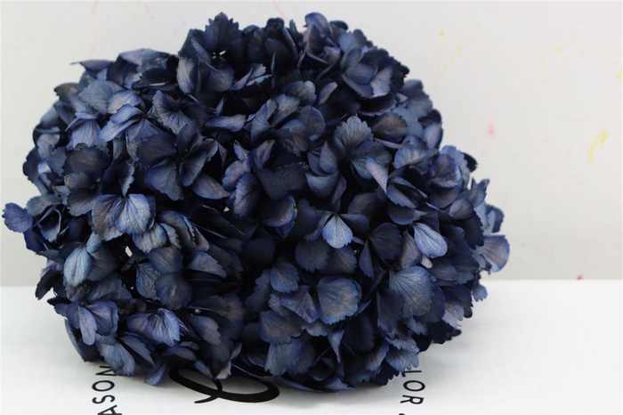 <h4>Pres Hydrangea Xl Purple Pcs</h4>