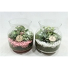6906 CANDY JAR INDOOR