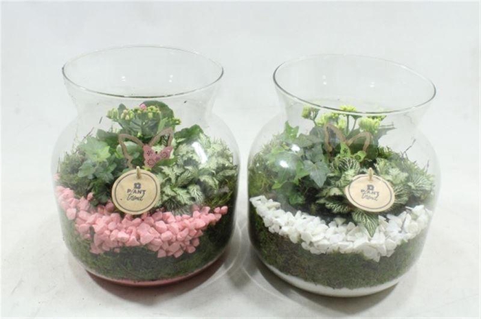 6906 CANDY JAR INDOOR