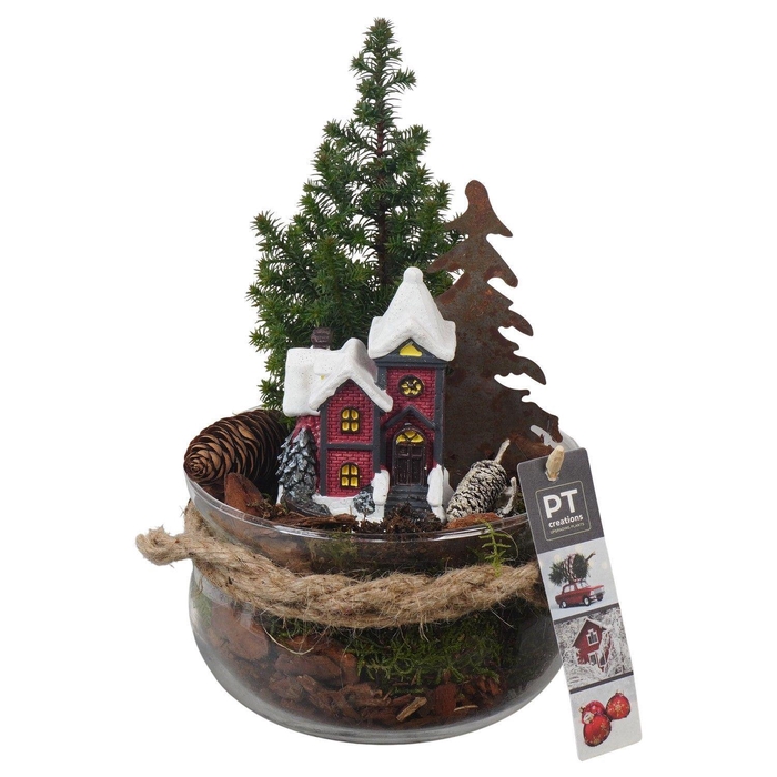 <h4>Arr. Kerst L%</h4>