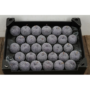 Waxappel Gl Paars