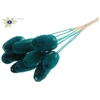 Luffa Mini on stem Turquoise