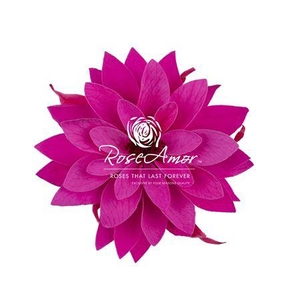 Dalia Pin07