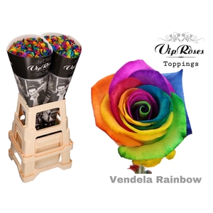 R GR VENDELA RAINBOW