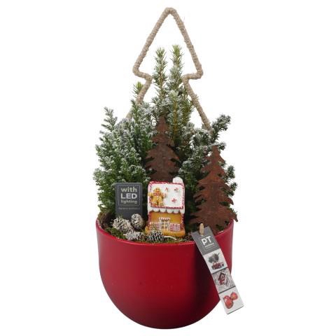 <h4>PTCWW6918 Arrangement Winter in keramiek pot</h4>