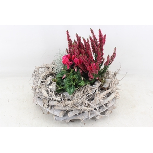 arr4 Outdoor PL -Takken krans grey L los