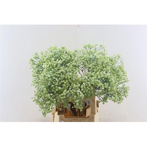 Artificial Stem Gyps Green