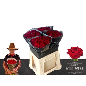 R Gr Red Naomi! Wild West 40