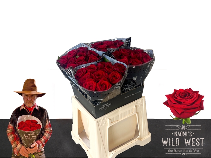 <h4>R Gr Red Naomi! Wild West 40</h4>