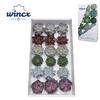 Wincx® - Echeveria Mix (6x3) Wincx-8cm