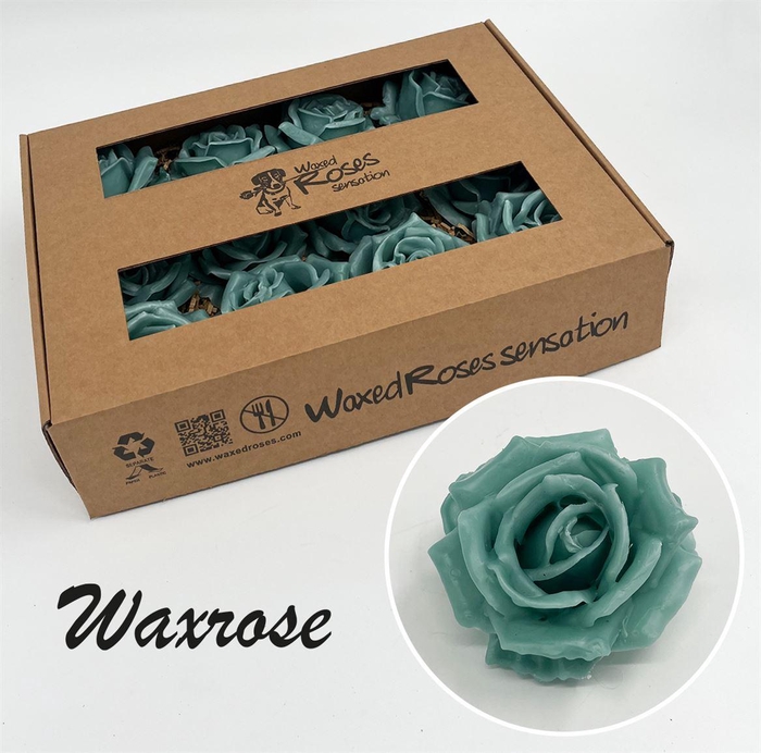 <h4>Zijde R Wx Licht Groen (mint)</h4>