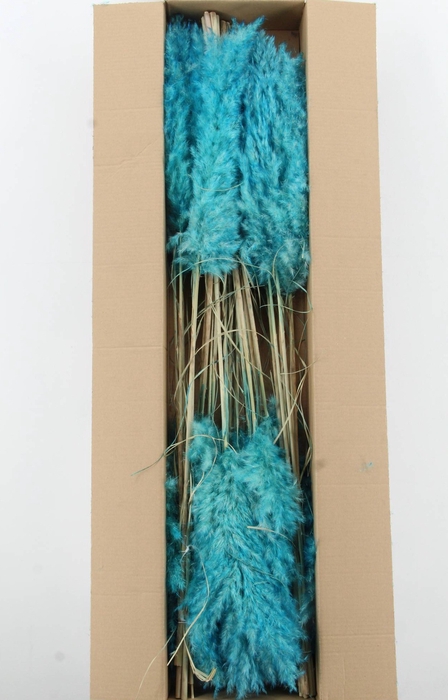 <h4>DF Pampas 115cm Turquoise</h4>