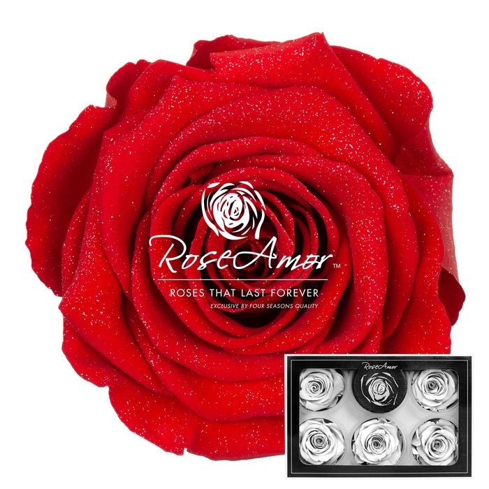 Xl Diamond Dust Red02