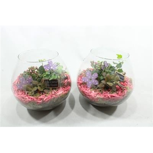 1485 XXL ROZE BOLGLAS