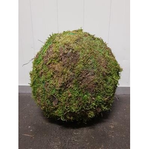 Ball Moss Green 30cm