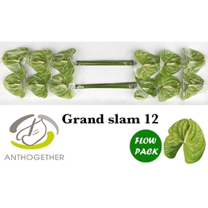 ANTH A GRAND SLAM 12 Flow Pack