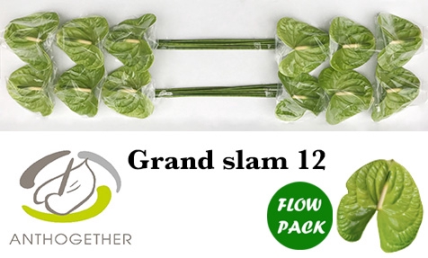 ANTH A GRAND SLAM 12 Flow Pack