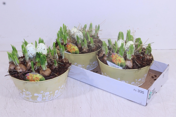 <h4>ARR N TETE A TETE</h4>