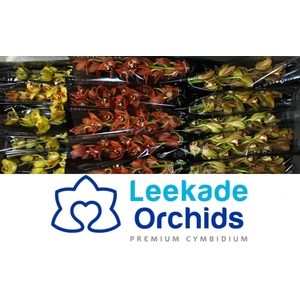 Cymb Mi Herfst Mix Leekade X18 20% Extra Packed