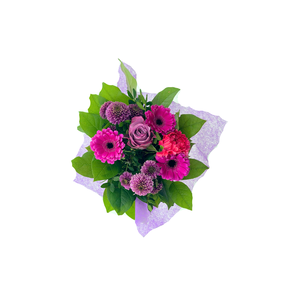 BQ Shorties Lilac