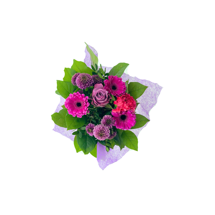 <h4>BQ Shorties Lilac</h4>