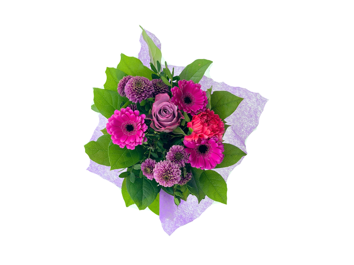 BQ Shorties Lilac