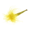 Stypha Penata 10 Tufts Per Bunch Yellow