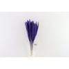 Dried Fluffy Pampas Lilac Bunch Slv