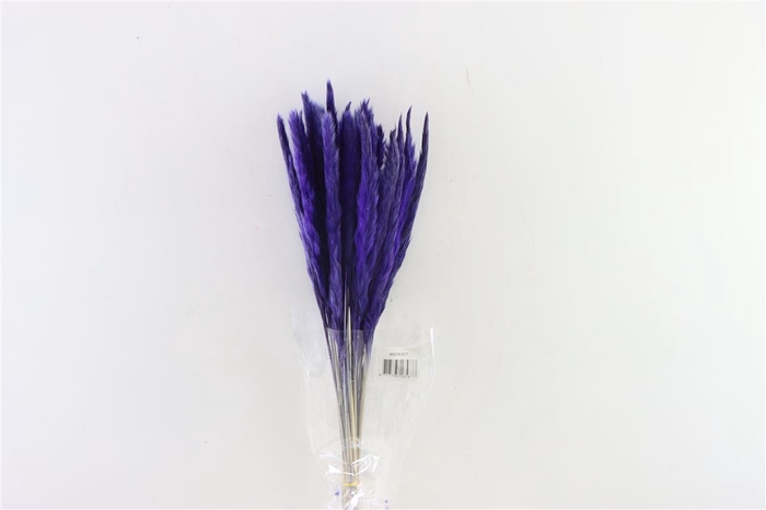 Dried Fluffy Pampas Lilac Bunch Slv