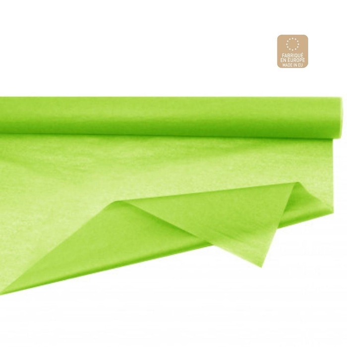 <h4>Papier Rol zijde 75cm 50m 28g</h4>