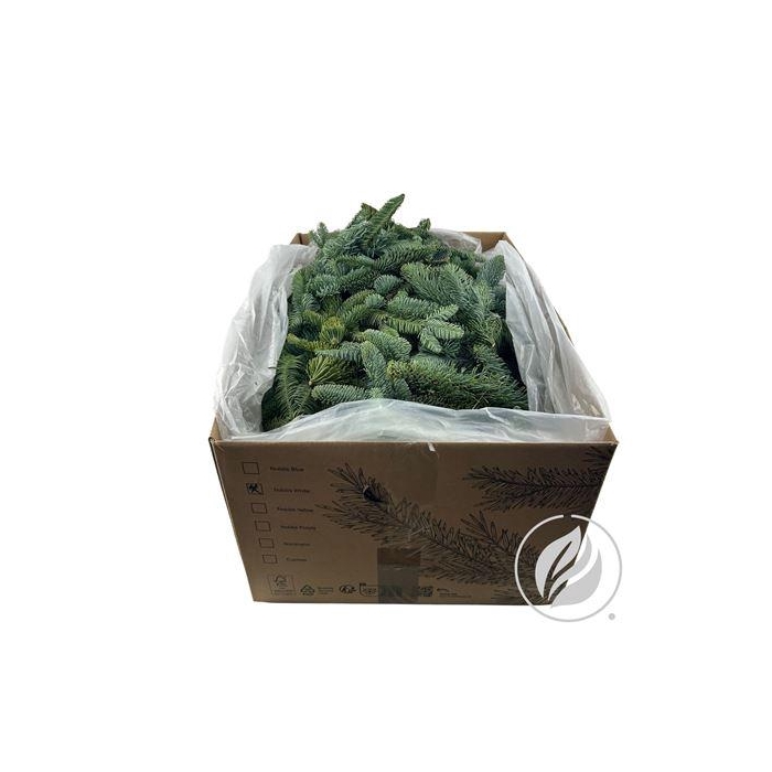 <h4>NOBILIS WHITEBAND NF 8KG</h4>