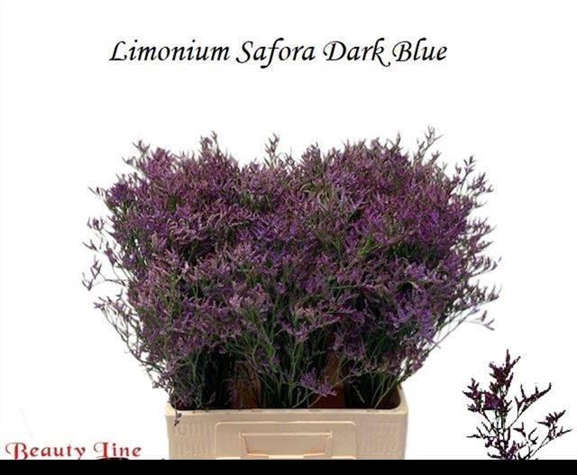 <h4>LIM SAF DARK BLUE</h4>