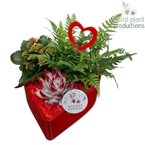 VE028 Hart Red 3PP