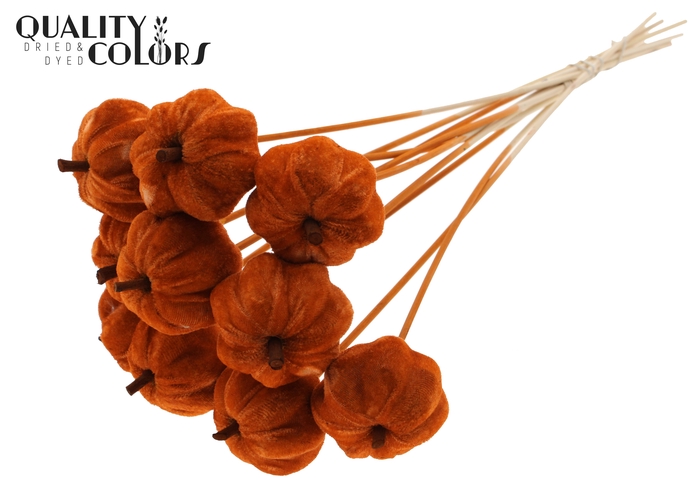 Velvet Pumpkin Ø6cm on stem Terracotta