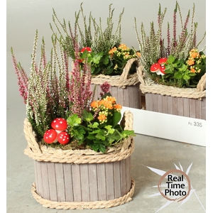 ARR TUINPLANTEN