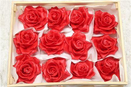 Wax Roos Rood