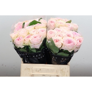 R Gr Bal Summerhouse