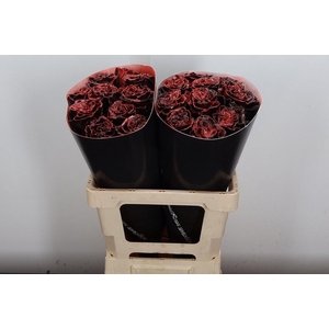 Wax-Rozen Wax Wit Zilver glitter