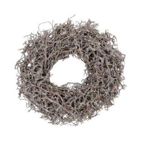 <h4>Wr Bonsai Wildly 45cm Frosted</h4>