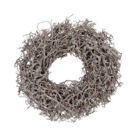 <h4>Wr Bonsai Wildly 45cm Frosted</h4>