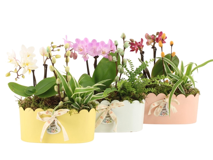 <h4>70860: Easter arrangement</h4>